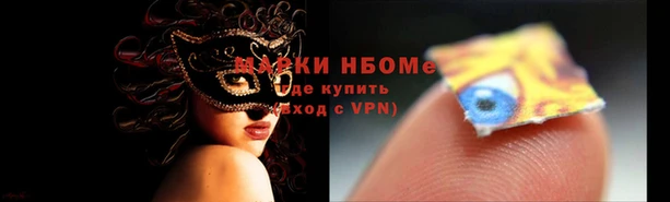 стаф Абаза