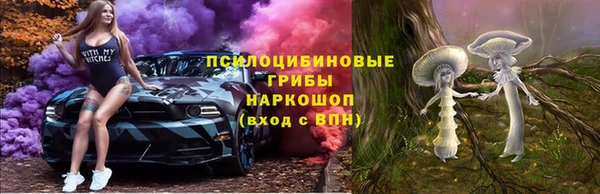 СК Абдулино
