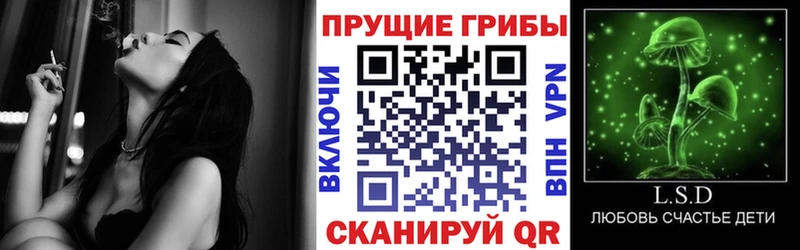 Псилоцибиновые грибы Cubensis купить закладку Зеленокумск
