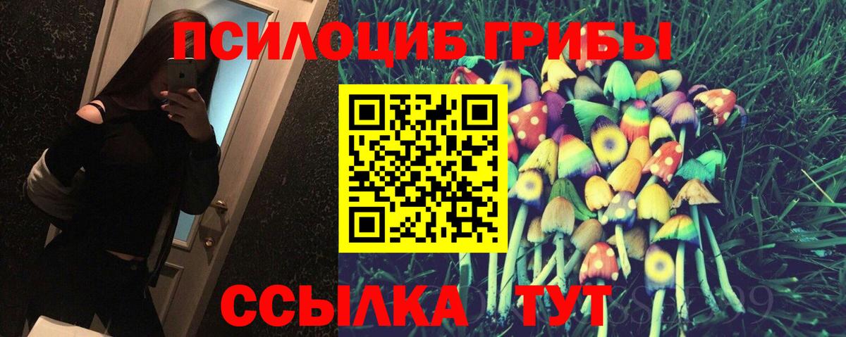 Зеленокумск  цены наркотик  Вход с VPN  Псилоцибиновые грибы MAGIC MUSHROOMS 